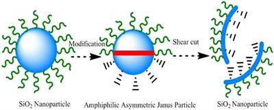 Controllable Assembly and Application of Janus Smart Nanosheets for Oil Displacement